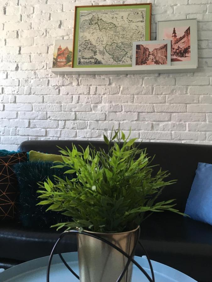 Apartament Zuzia أولشتين المظهر الخارجي الصورة